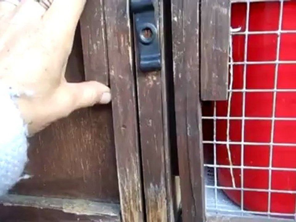Gandja la putoise