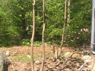 Buy a Home, Open House Sunday 1-4pm 6/2/2012