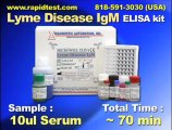 Lyme Disease IgM ELISA kit