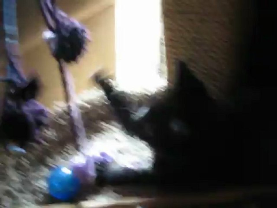 early2012 033