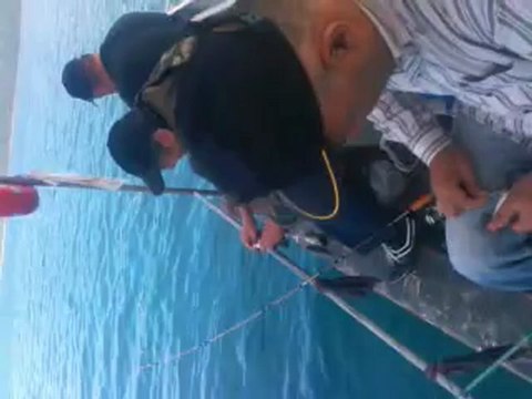 ismail kaptan kazıklı balık avı