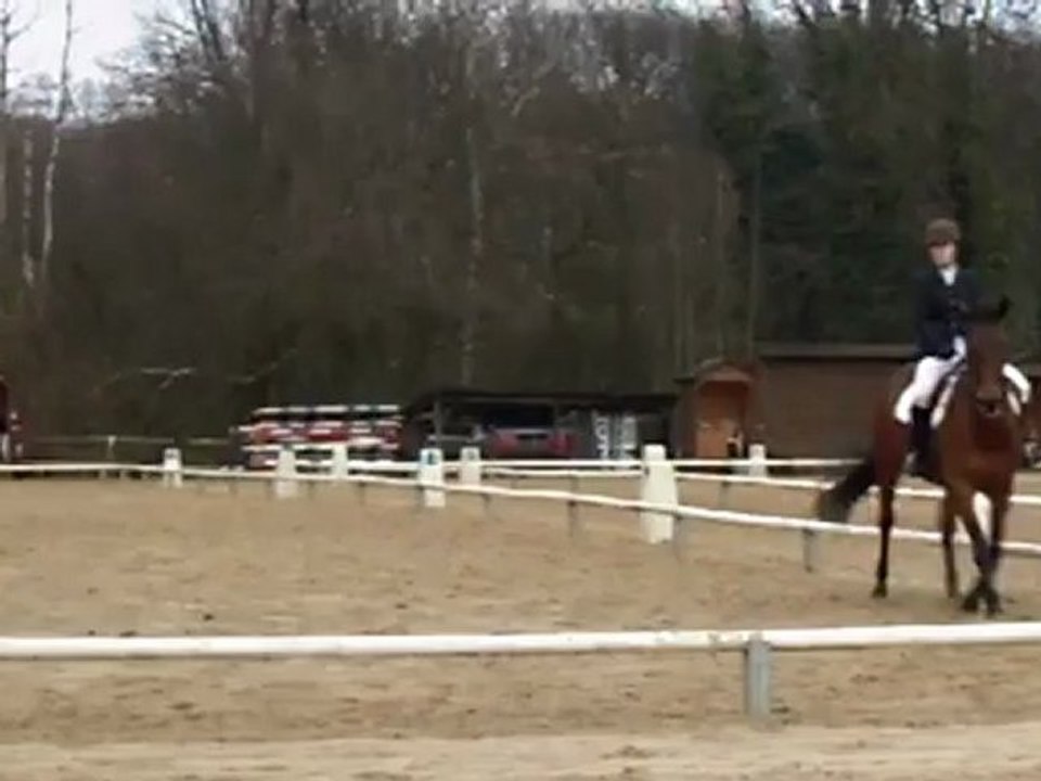 Concours Dressage - Club 1 GP - Andilly 18/03/2012 - Ferven Toussonnais