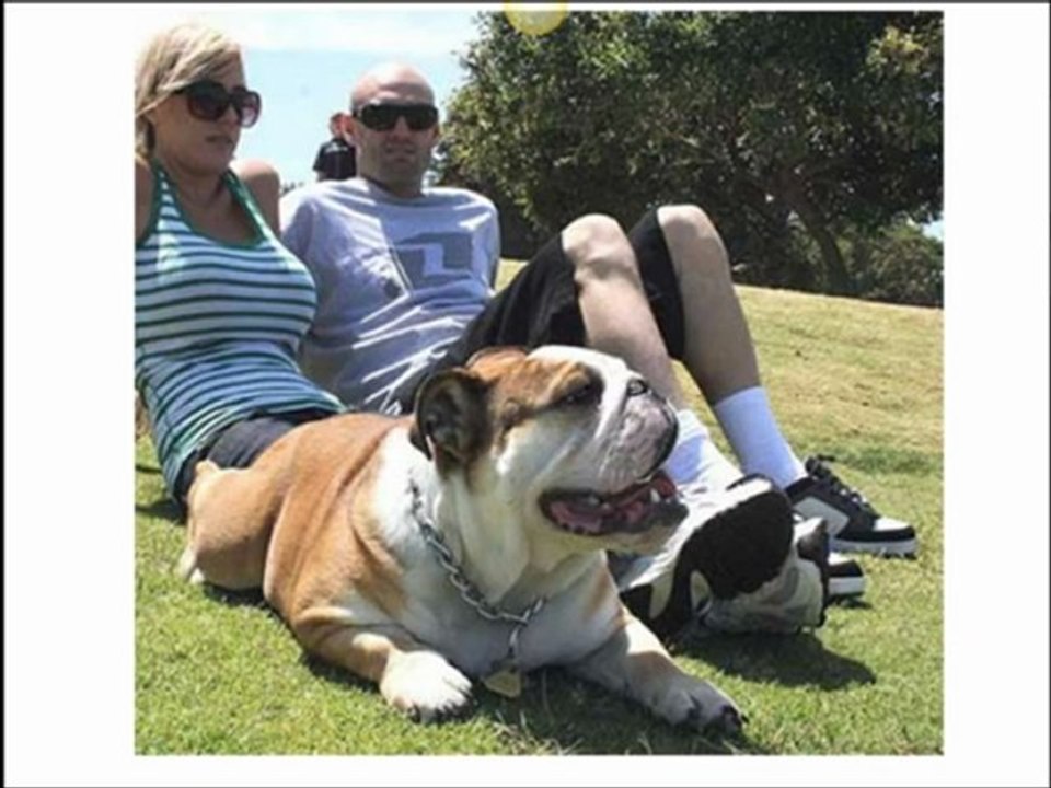 Video 1  La Fórmula Infalible de 4 Llaves para Educar a tu Perro.   Como Educar un Perro