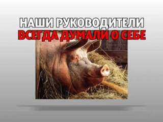 Беседа деда с внучкой про ЭТО. Голая правда.
