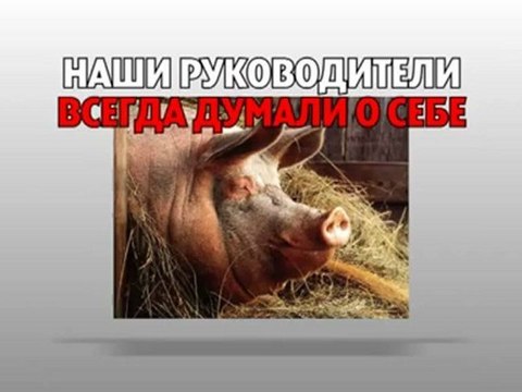 Беседа деда с внучкой про ЭТО. Голая правда.