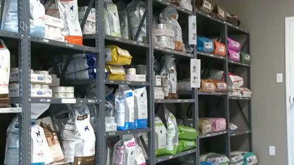 Veterinarian Northcrest London Masonville Animal Hospital