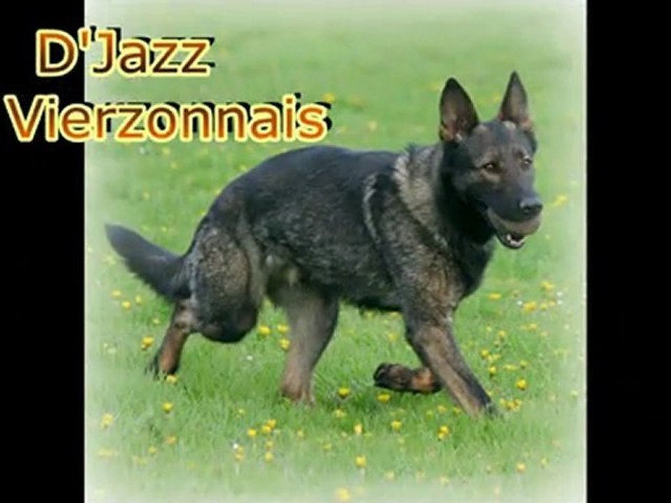 D'Jazz à Versailles