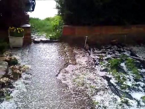 greles 16 mai 2012 , 8H30 hondschoote 2