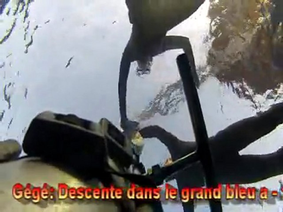 Dauphins 2012 - Descente a 18m