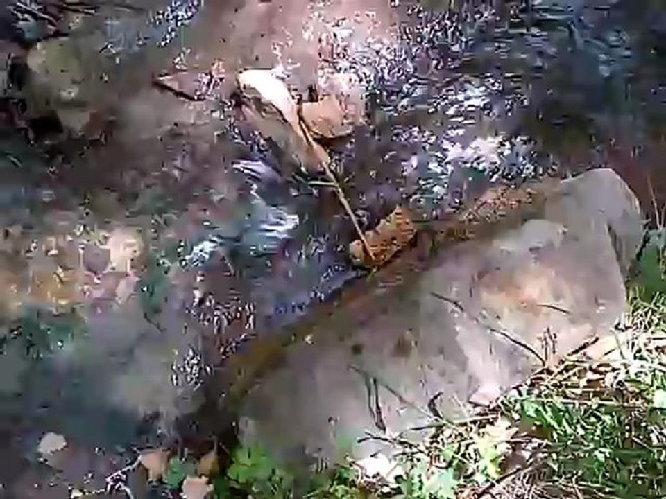 Petit moulin à eau de Chloé et Vincent