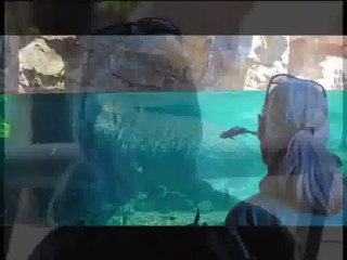 Jane Goodall dio a Bioparc Valencia la "máxima calificación"