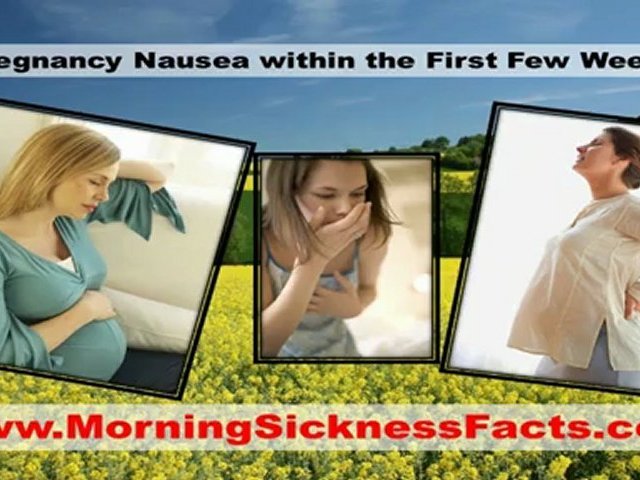 Pregnancy Nausea Within The First Few Weeks