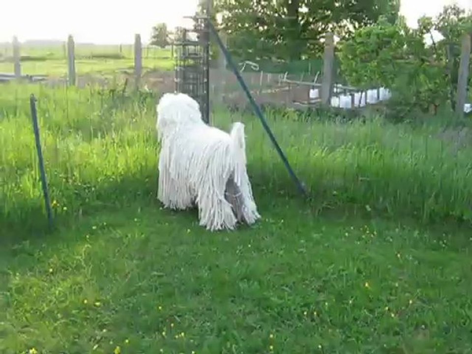 Un apres midi ensoleillé 3