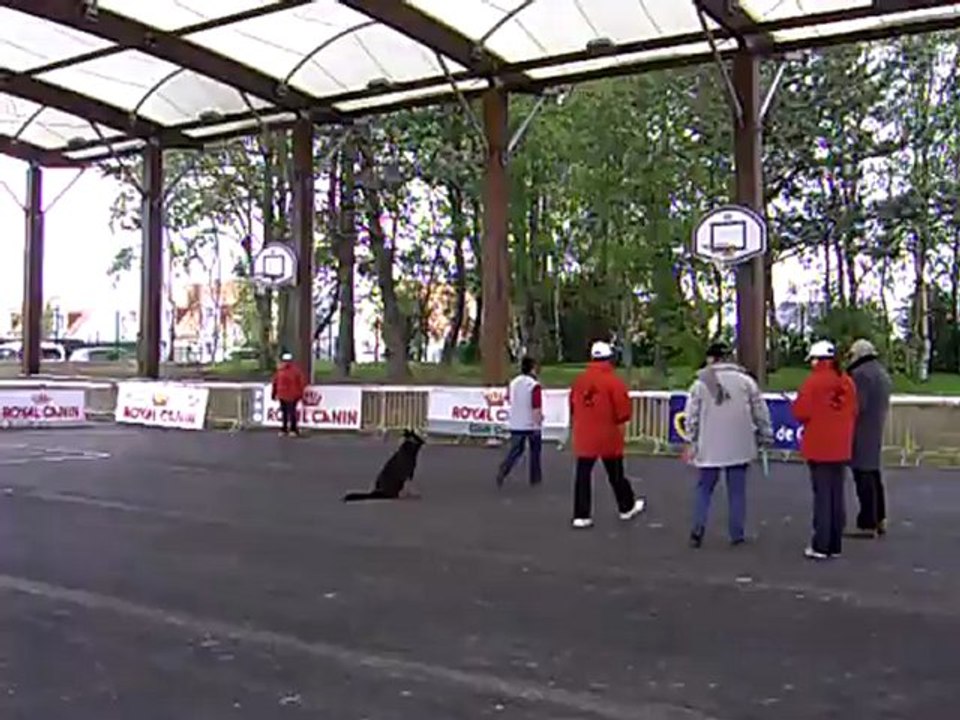 DIXIE des Côteaux du Lys