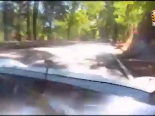 Cámara Interior Oscar Palacio (Silver Car S2) - Subida a Falperra 2011