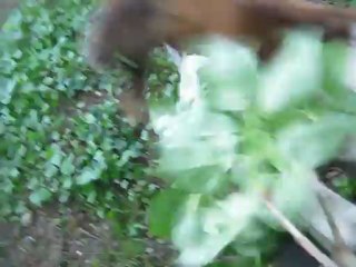 Un apres midi au soleil 4