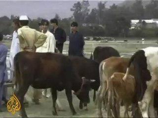 Al Jazeera exclusive: Pakistanis flee Swat - 10 May 09