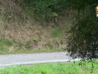 Rallye Arroes-Gijón 2011