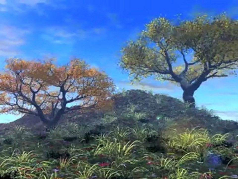 Trees - asomassagemusic
