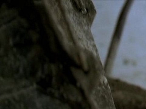 Latcho Drom L'espagne