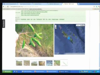 La communauté scientifique régionale du Languedoc-Roussillon participe à la première journée européenne de célébration des plantes intitulée "Fascination of plants day"