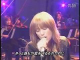 Ayumi hamasaki《Forgiveness》live