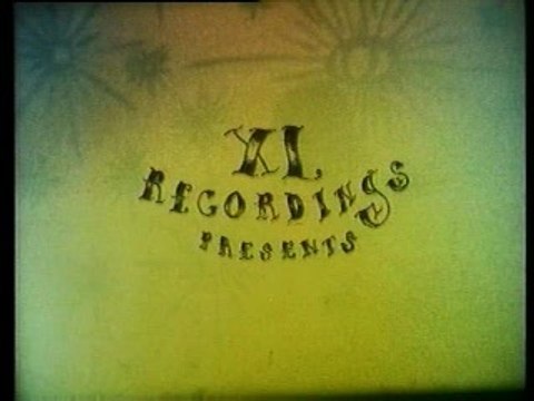 Little yellow Spider