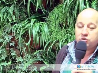 Des conseils pour jardiner écolo