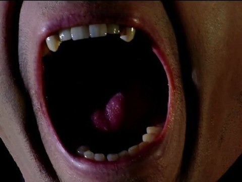 Dario Argento Dracula (bande annonce)