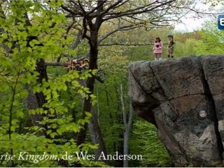Moonrise Kingdom et De rouille et d'os présentés à Cannes