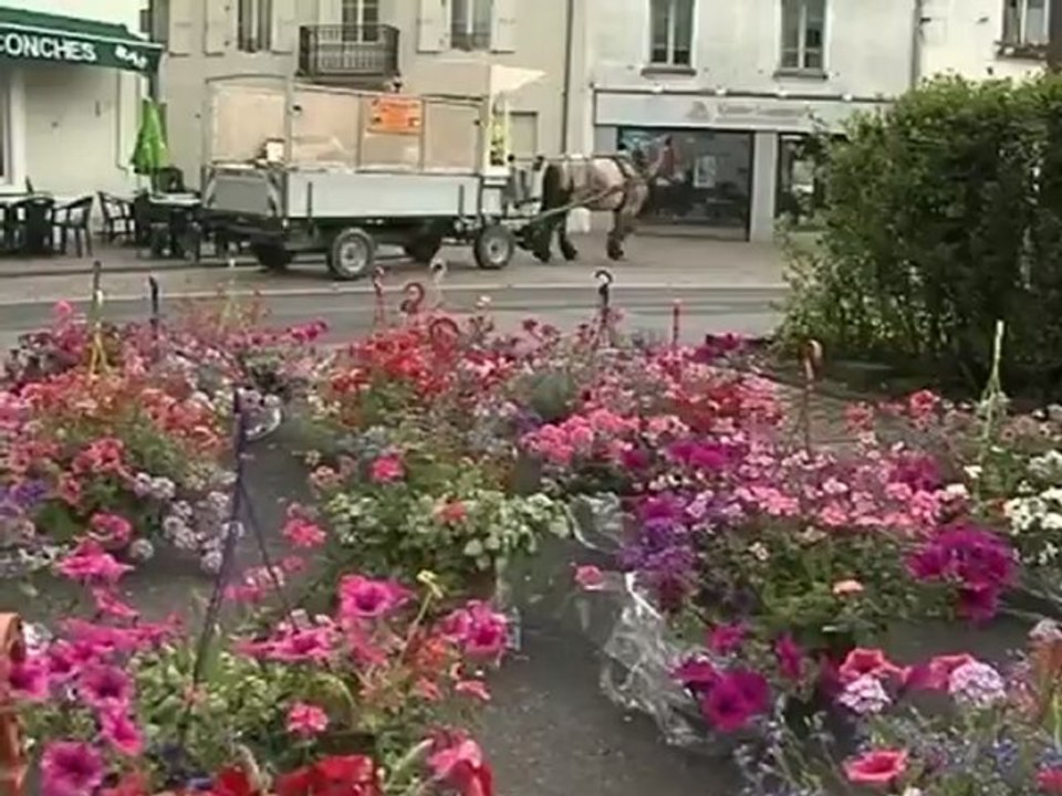 Le cheval de trait remplace le camion de poubelle (Tauves)