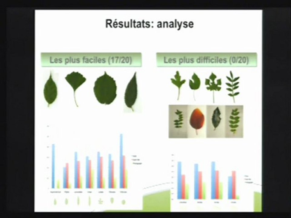 Fascination of plants day, Montpellier : "La vision par ordinateur au service des plantes et de l'écologie" / Alexis Joly, Inria