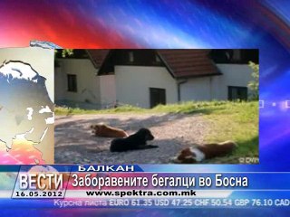TV SPEKTRA VESTI 16.05
