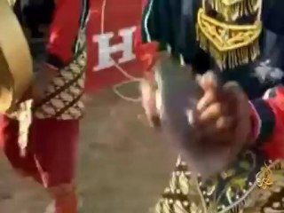 سباقات الثيران في أندونيسيا