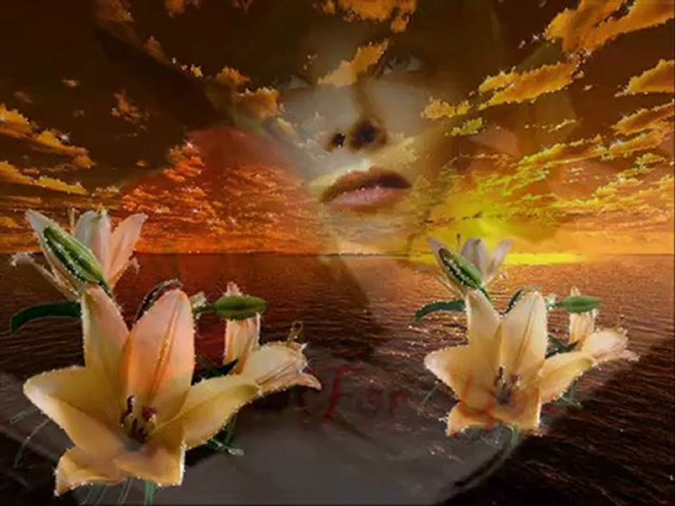 Nilüfer   "SENİ  BEKLERİM  ÖPTÜĞÜM  YERDE  "