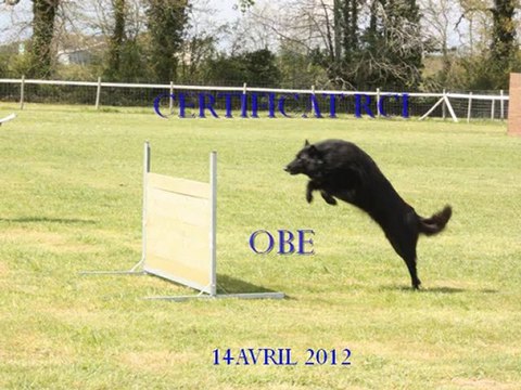 obé CERTIFICAT RCI 14 04 2012