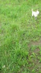 Ballade à Sens Mai 2012