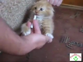 É duro largar o cigarro