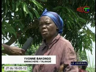 Une enquête sur les effets du changement climatique au Congo
