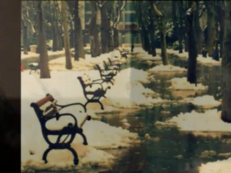 Siz Aşktan N'anlarsınız Bayım-Elif Nuray/ Nergihan Yeşilyurt