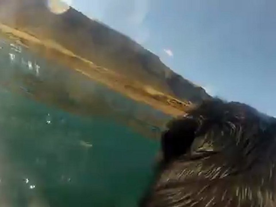amy syndir með gopro