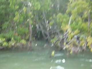 Jour 2 - Sud Everglades en canoë (1)