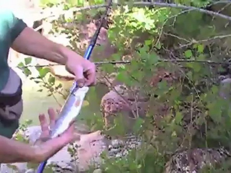 Truites, pêche et video