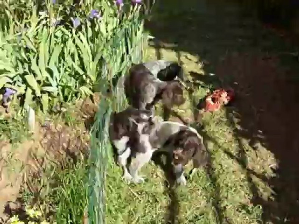 BEBES LE 16 MAI