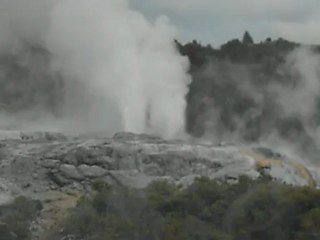 Geyser à Rotorua, New Zealand