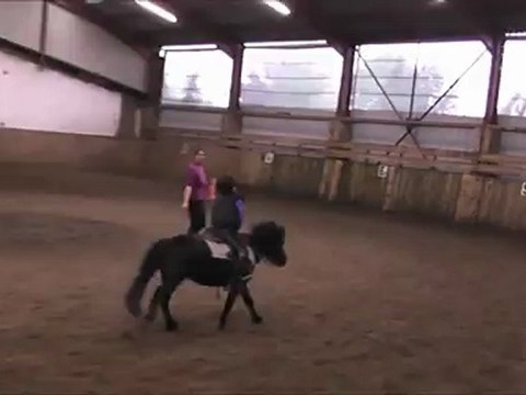 mise en selle poney sans rênes ni étriers
