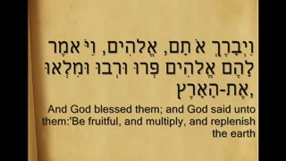 Hebrew Language: Genesis 1:1-31 - with English Subtitles