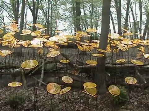 New01.mpg N9 HOLLANDE VENLO FLORIADE MAI 2012