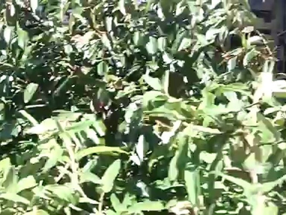 Daniel Fink Golf Passeier Meran Wellness Andreus