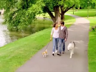 be2 Partnersuche in der Schweiz - YouTube